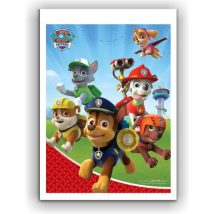 bolsas para dulces de paw patrol de plastico para fiesta infantil